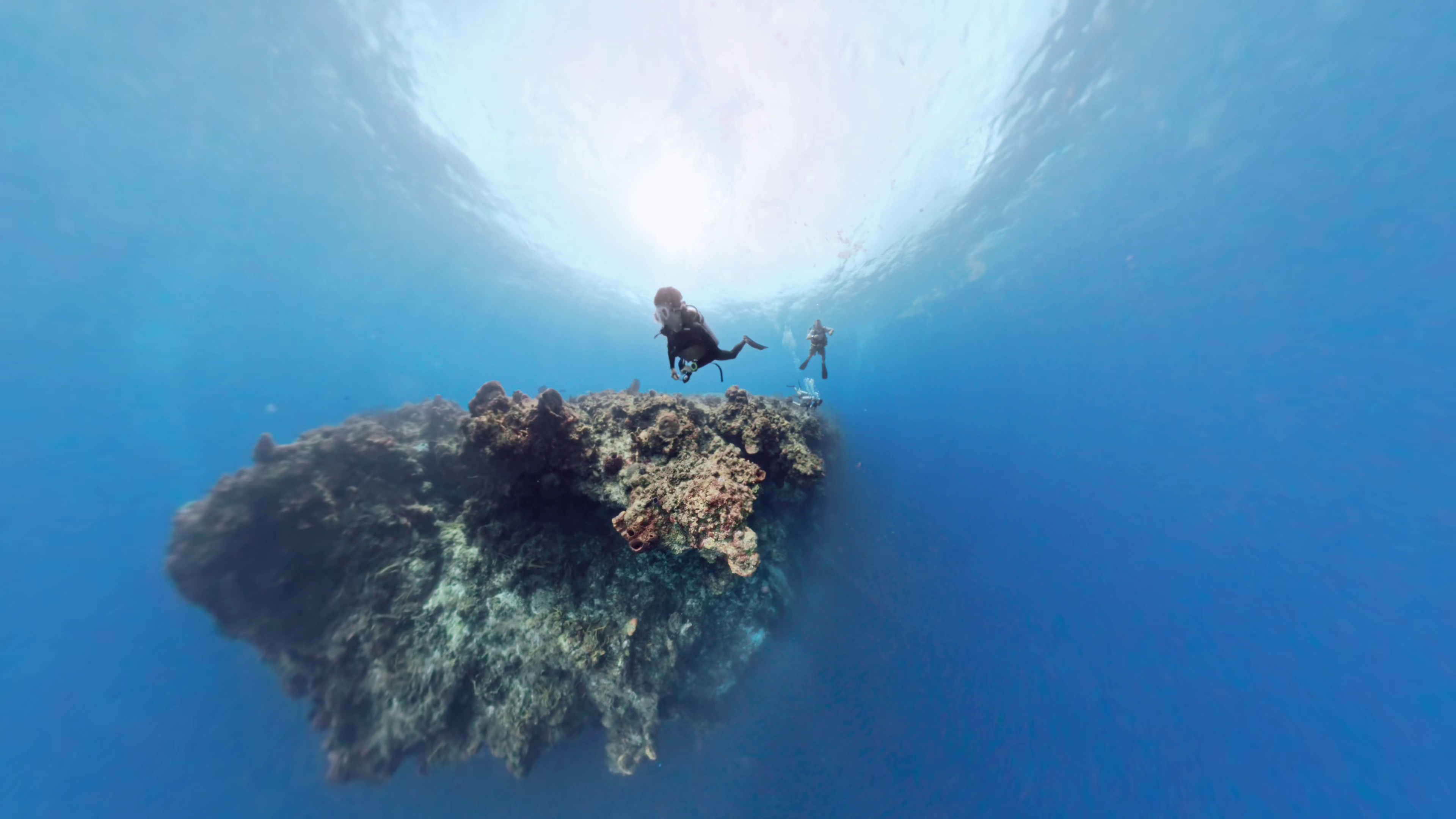 Scuba Diving 14