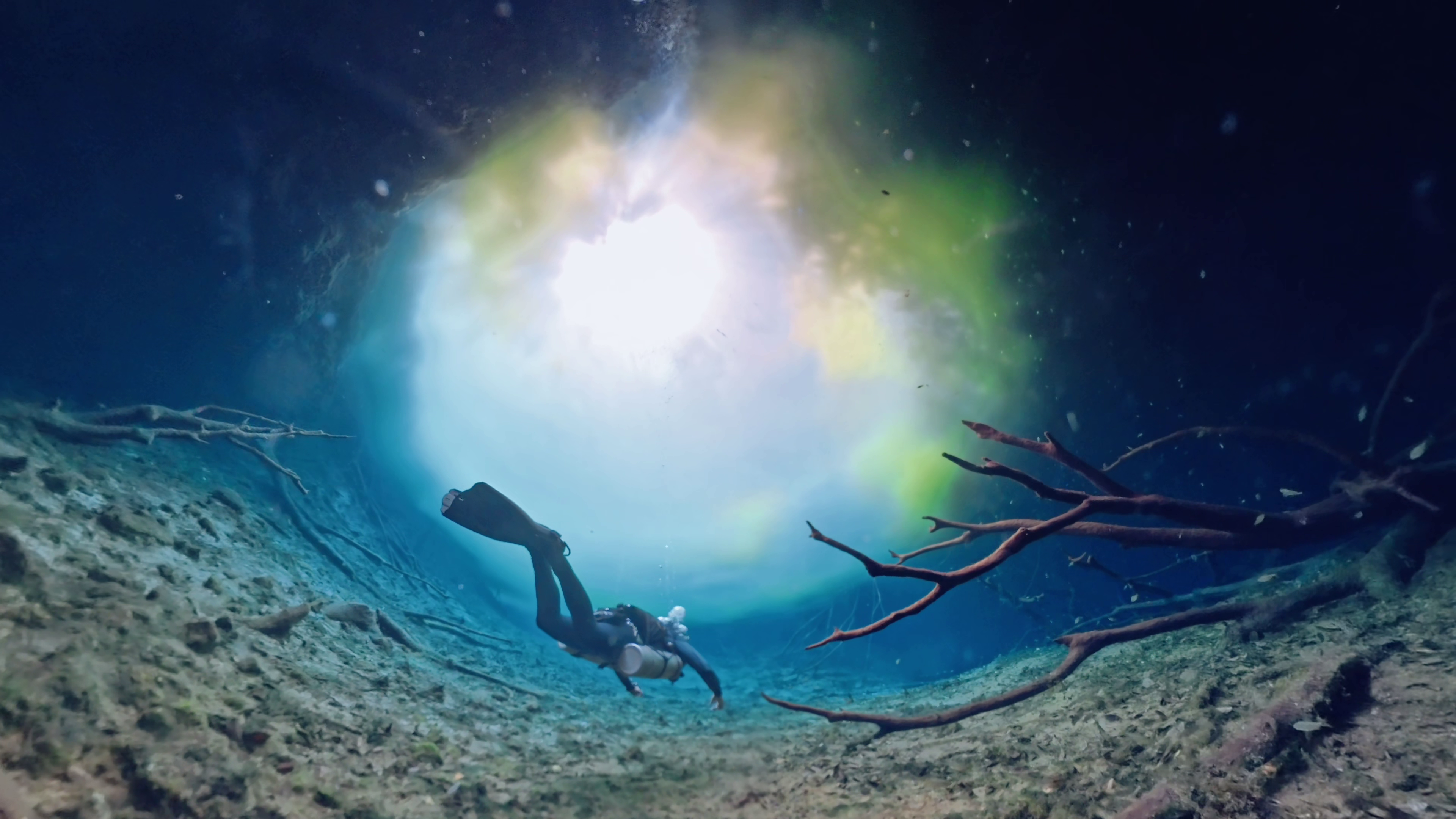 Scuba Diving 15