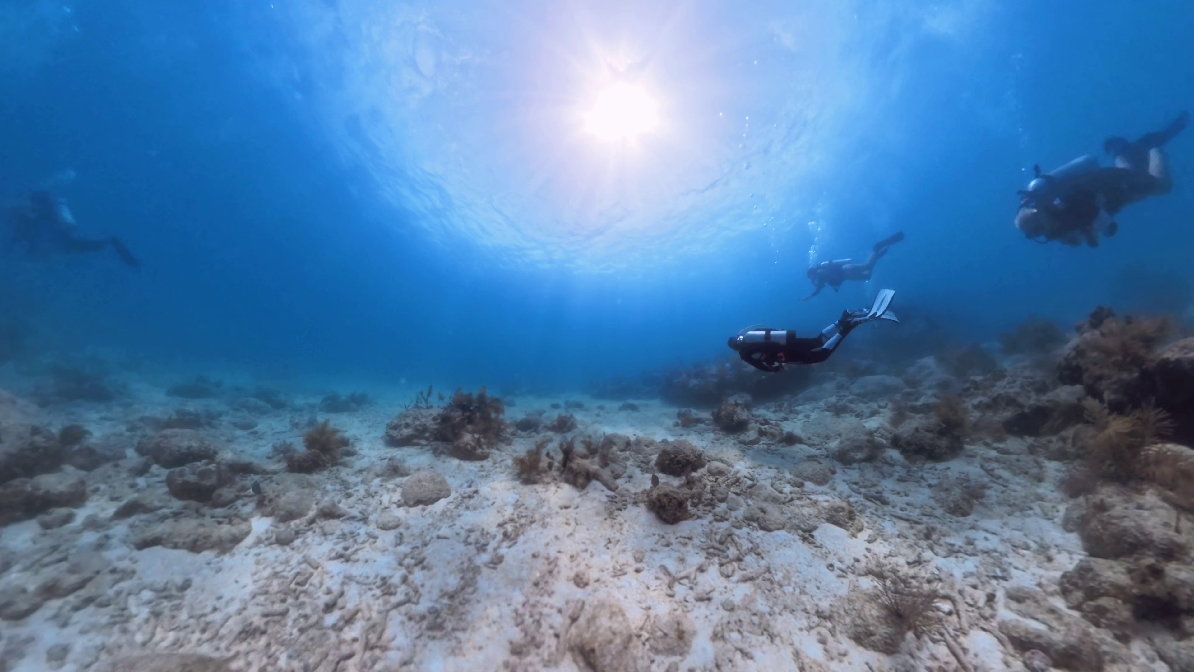 Scuba Diving 3