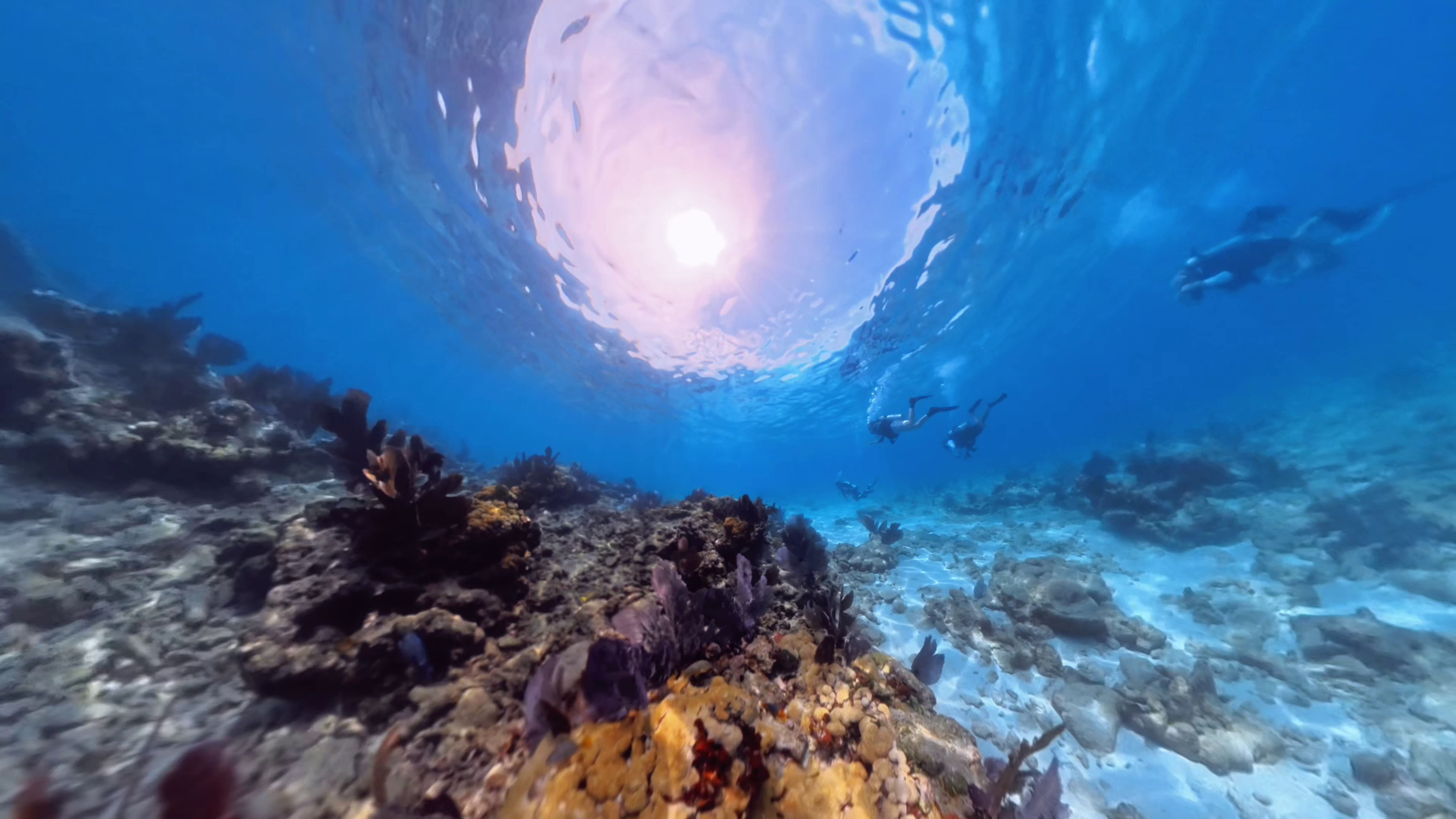Scuba Diving 4