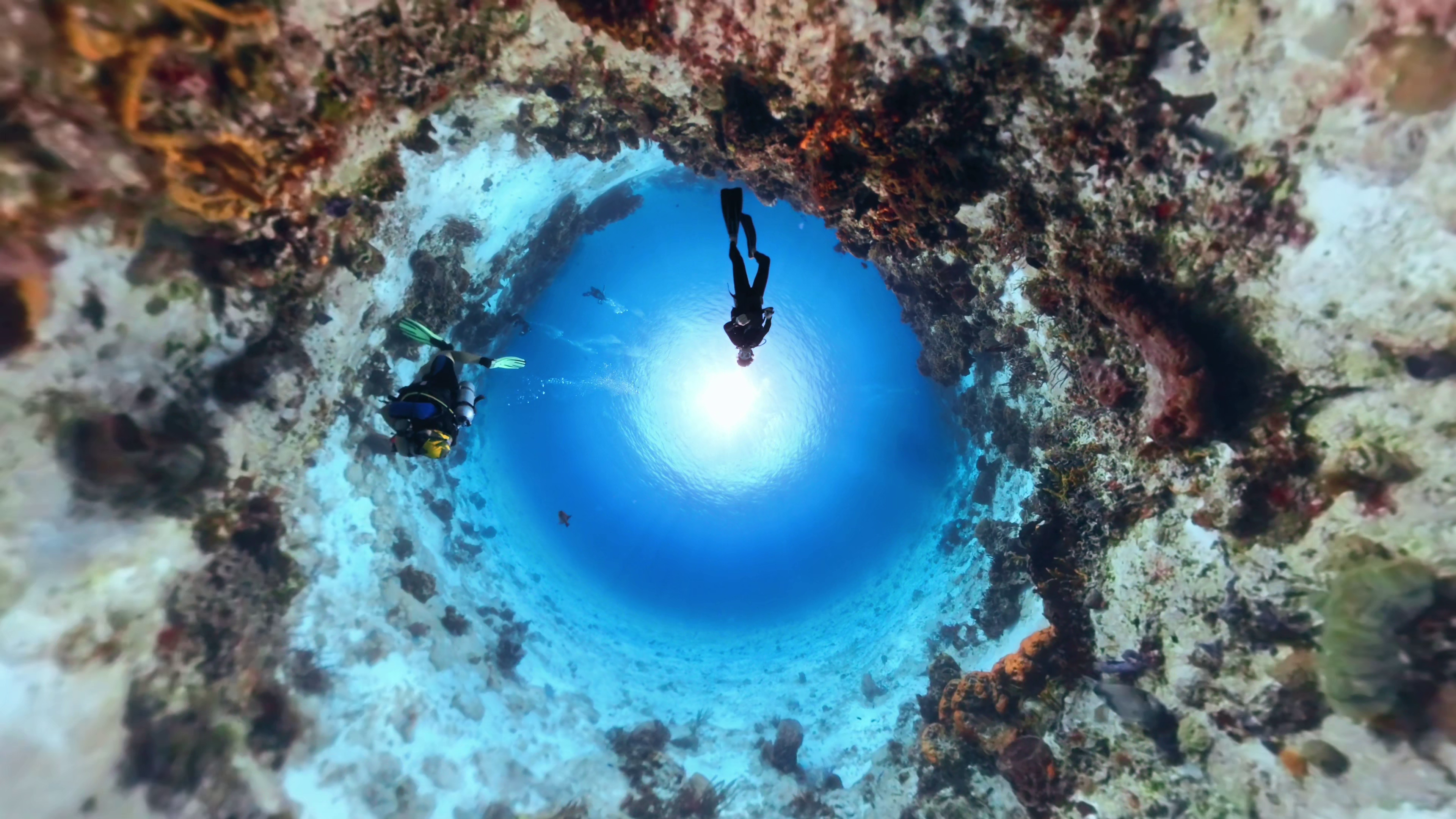 Scuba Diving 5