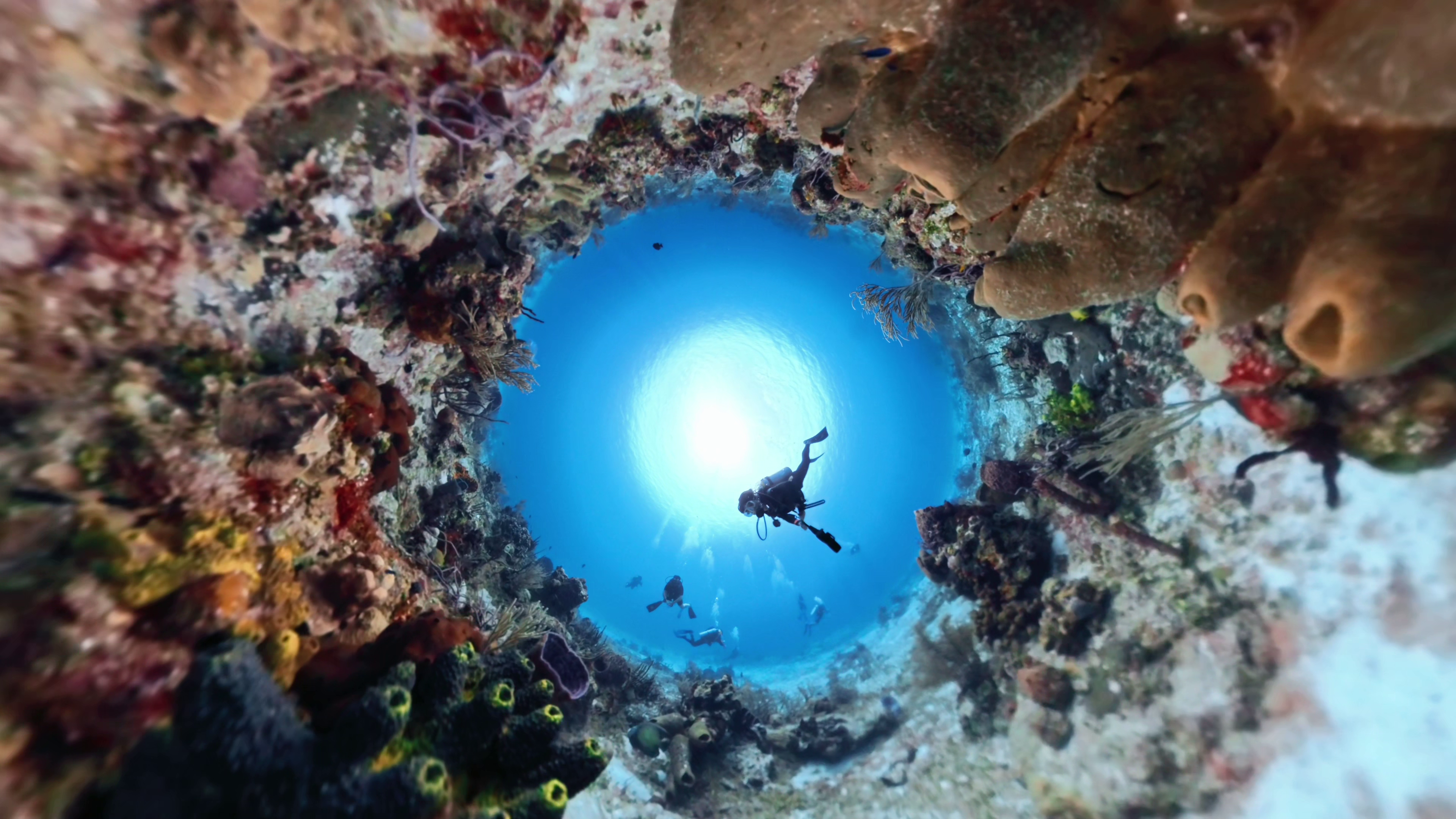 Scuba Diving 6